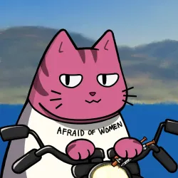 Motocat #16428