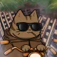 Motocat #19122