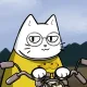 Motocat #17055