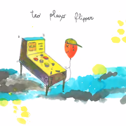 TEOPLAYFLIPPER