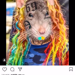 Lushsux #3932 - Shit Post 6ix9ine