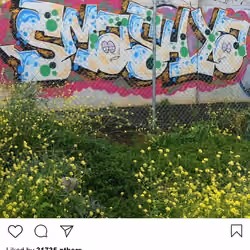 Lushsux #690 - Graffiti