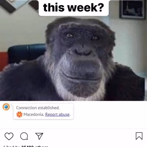 Lushsux #4007 - Shit Post