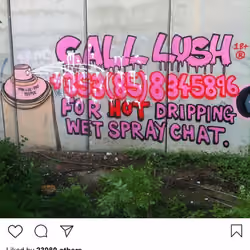Lushsux #1479 - Graffiti