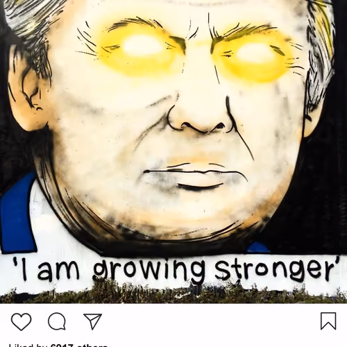 Lushsux #2256 - Mural Donald Trump