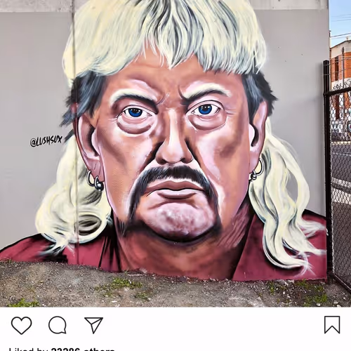 Drp Lushsux