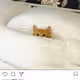 3145