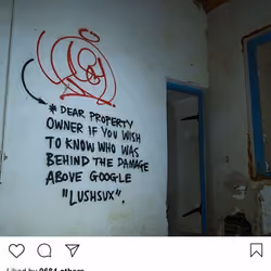 Lushsux #1223 - Graffiti