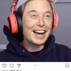 Lushsux #3408 - Shit Post Elon Musk PewDiePie