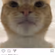 1234