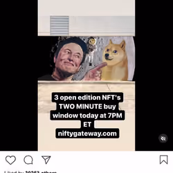 Lushsux #4189 - Shill Post Elon Musk Doge
