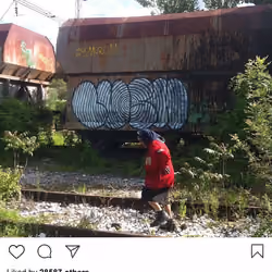 Lushsux #1378 - Graffiti