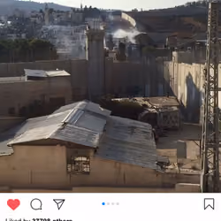 Lushsux #2832 - Shit Post