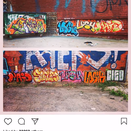 Drp Lushsux