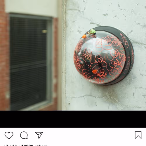 Drp Lushsux