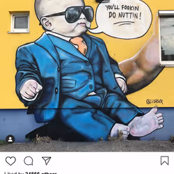 Lushsux #2752 - Mural Conor McGregor