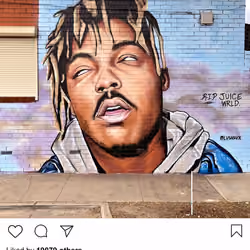 Lushsux #3731 - Mural Juice Wrld