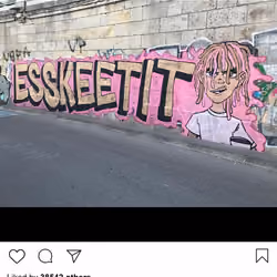 Lushsux #2714 - Mural Lil Pump