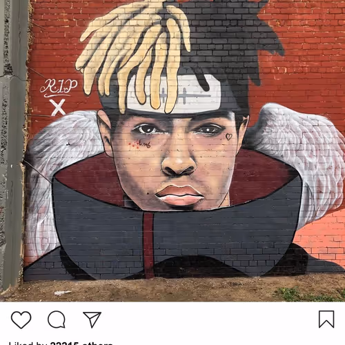 Drp Lushsux