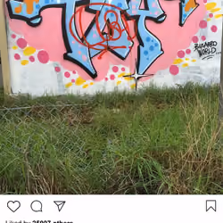 Lushsux #1993 - Graffiti