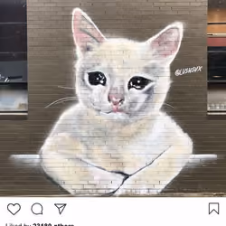 Lushsux #2892 - Mural Cat Meme