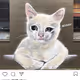 1492