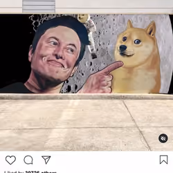 Lushsux #4178 - Animation Elon Musk Doge