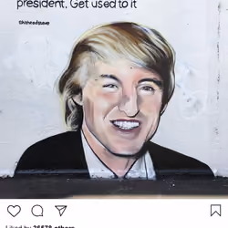 Lushsux #2646 - Mural Owen Wilson