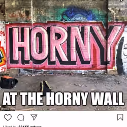 Lushsux #3881 - Shit Post