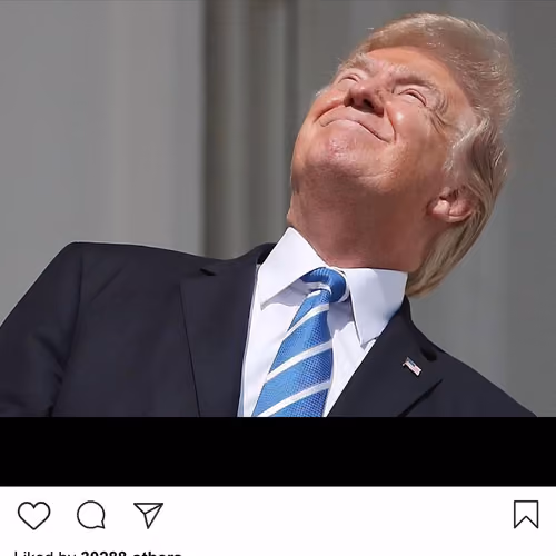 Lushsux #2743 - Shit Post Donald Trump
