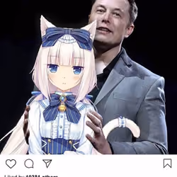 Lushsux #3266 - Shit Post Elon Musk