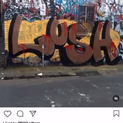 Lushsux #524 - Graffiti