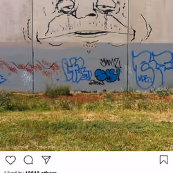 Lushsux #703 - Graffiti