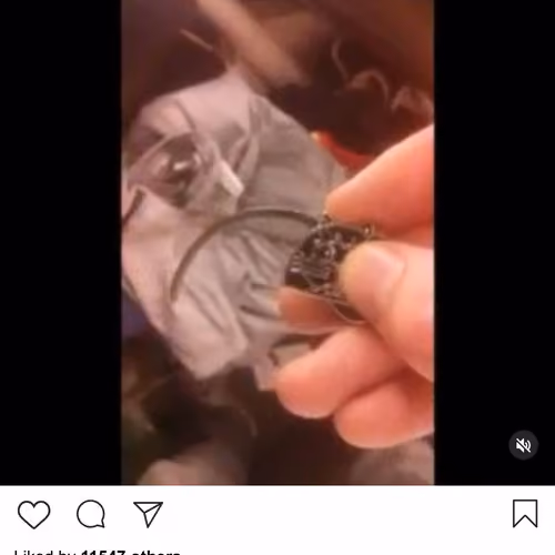 Lushsux #1906 - Shill Post kitty