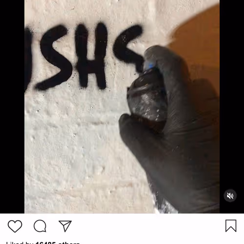 Lushsux #3727 - Mural