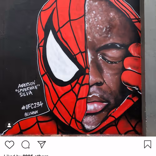 Lushsux #3381 - Mural Anderson Silva