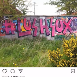 Lushsux #1285 - Graffiti