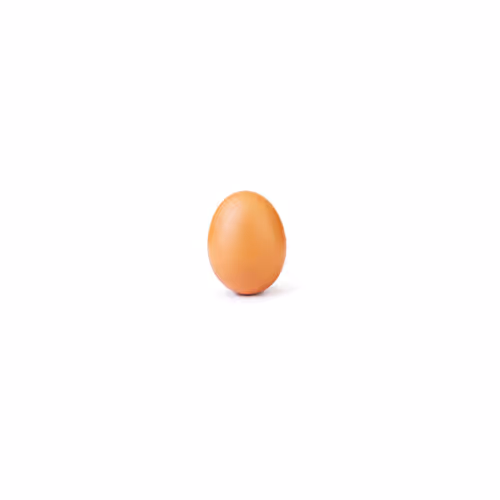 Twitter Egg