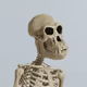 3588