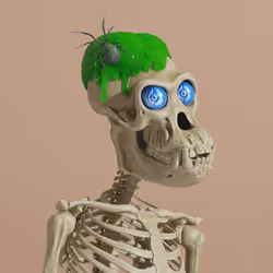 Item Media