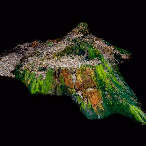 Real objects of nature