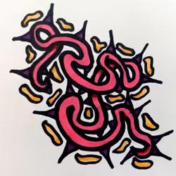 Pattern_87136