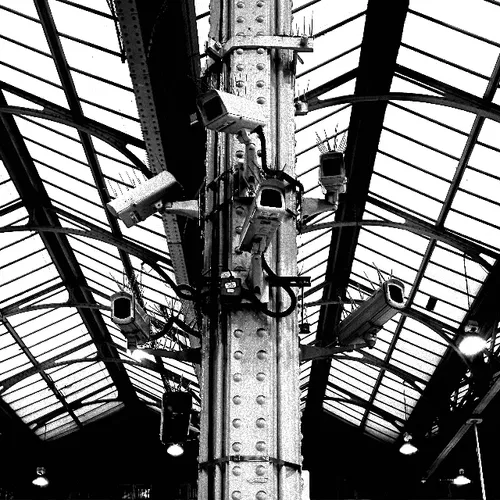 Check yourself before you