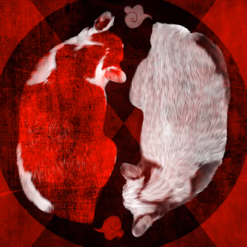 REDISM