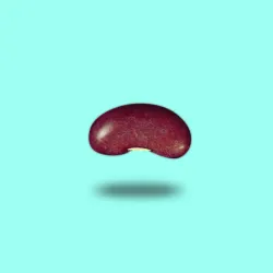 Authentic Bean