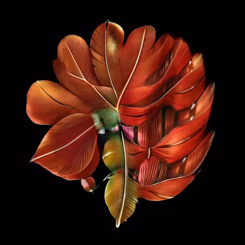Makeitrad | Hybrid Bloom #22/25