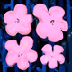 Flowers Flowers Flowers #1095