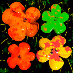 Flowers Flowers Flowers #354