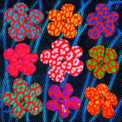 Flowers Flowers Flowers #1462