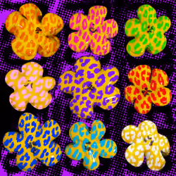 Flowers Flowers Flowers #2172